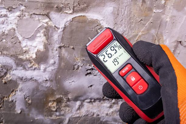 Best Post-Flood Mold Remediation in Harriman, NY